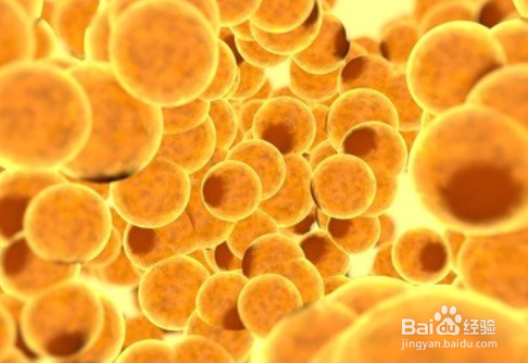 如何喂奶越喂越瘦？哺乳期健康减肥攻略