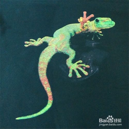 3d個性T恤打印機