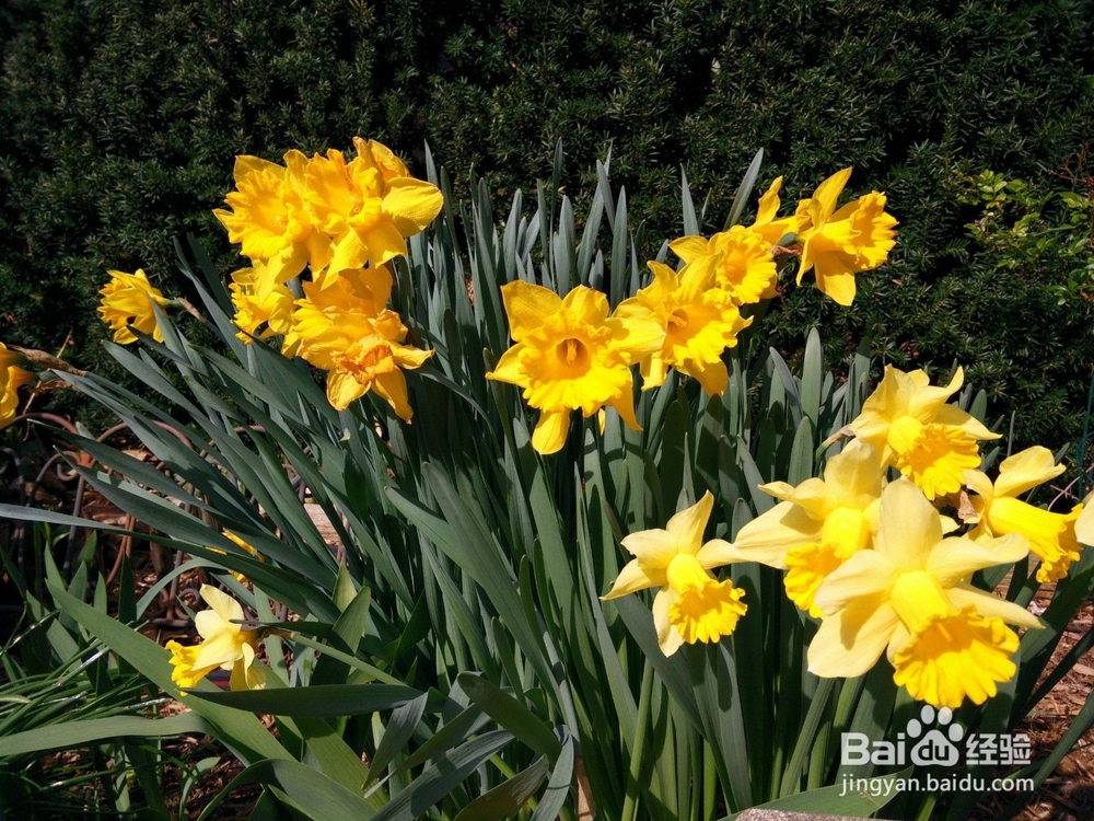 2018年拍照手机有哪些