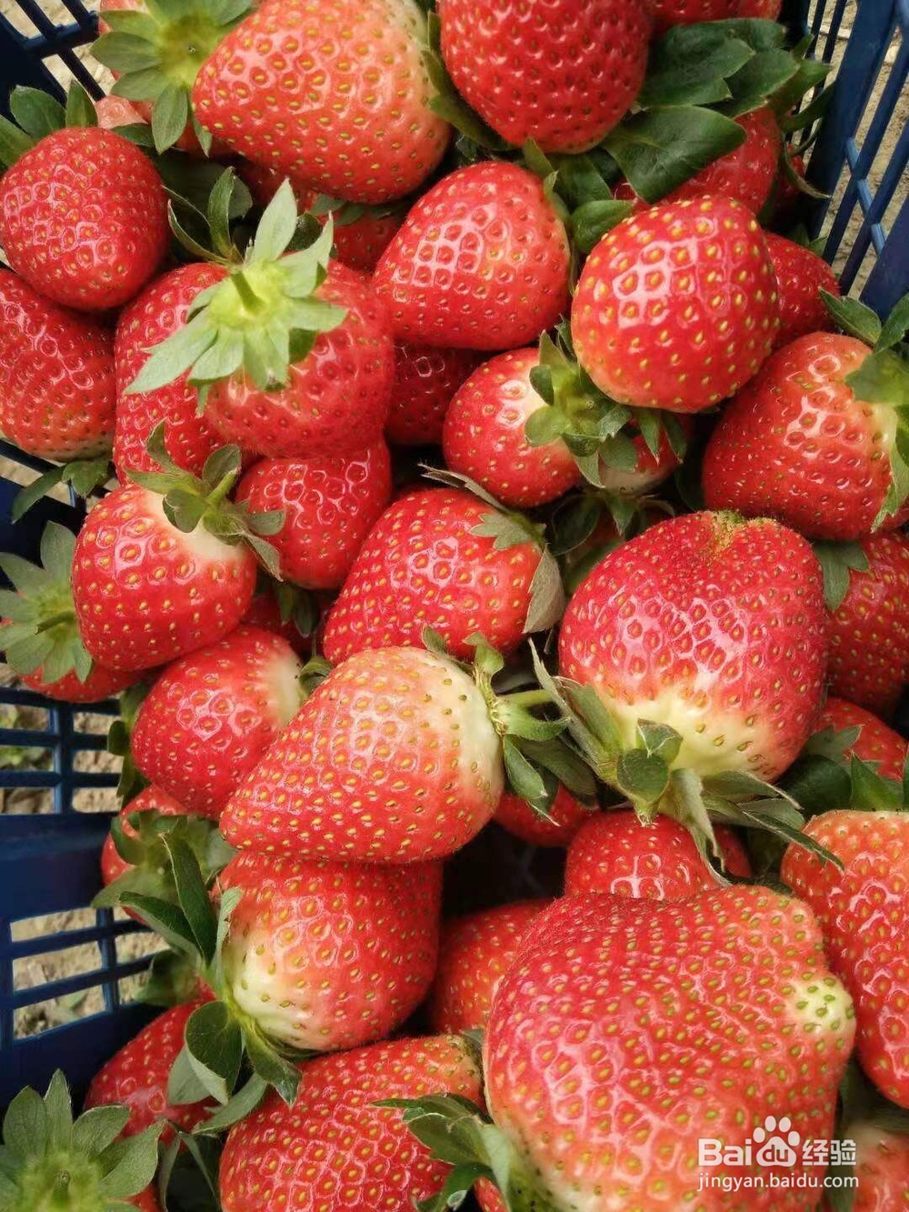 如何去追求一个女人？