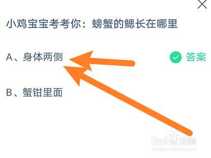 螃蟹的鳃长在哪里？