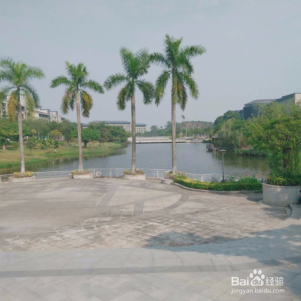 【校园指南】东莞理工学院城市学院建筑分布图