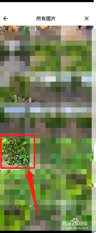 美图秀秀怎么把一张图嵌入另张图