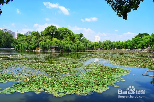 一日时间看昆明
