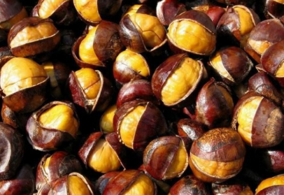 新鲜栗子冷冻还是冷藏