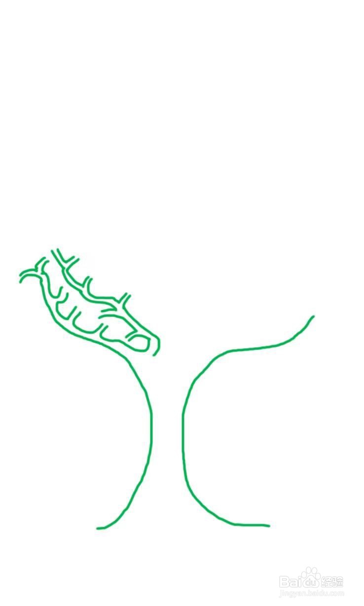 简笔画教程之大树