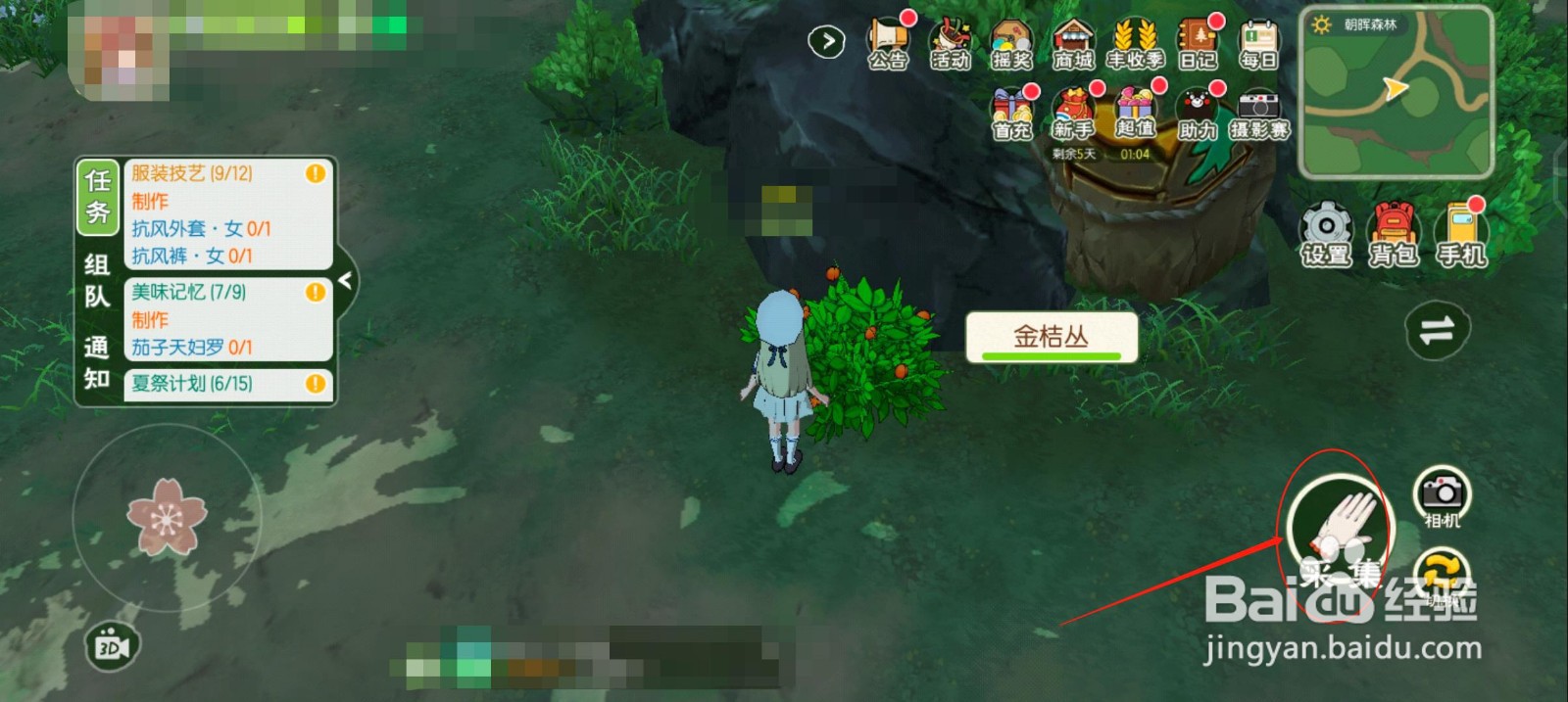 小森生活怎么采集金桔