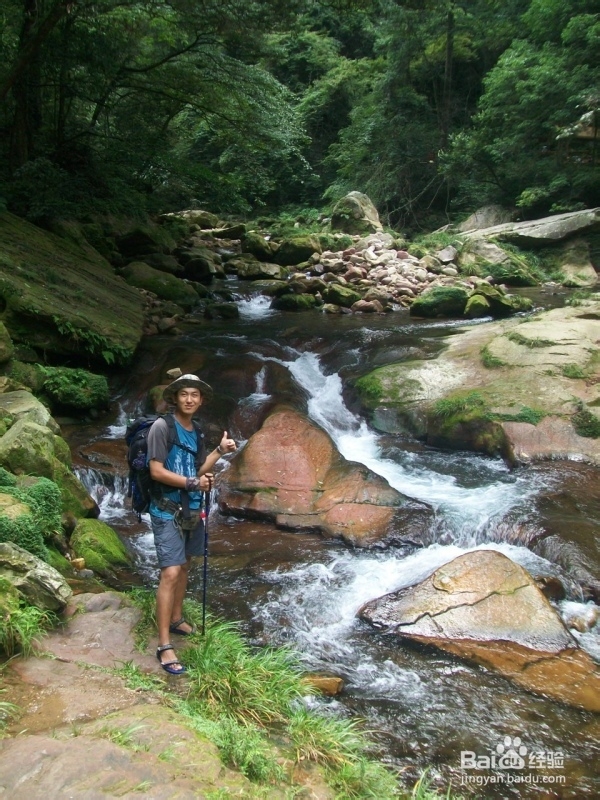 张家界自助游网站