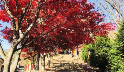 大学毕业后如何申请日本研究生