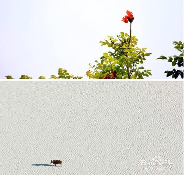 快速提升手机摄影水平的构图方法有哪些？