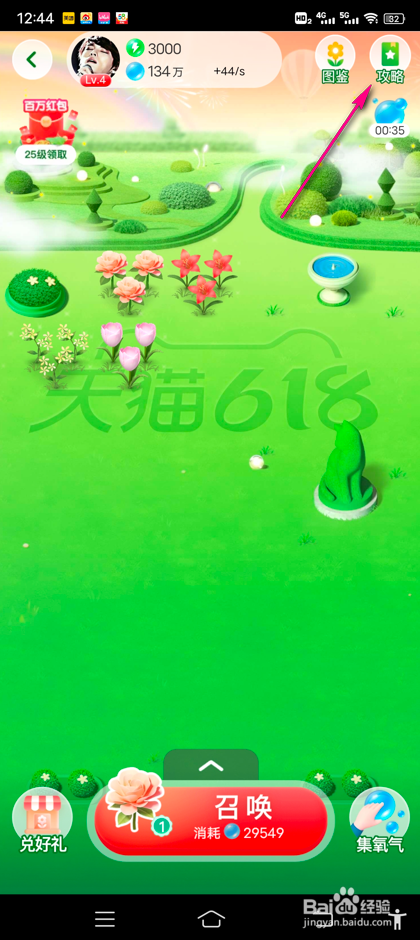 怎么查看猫享奇妙花园游戏攻略