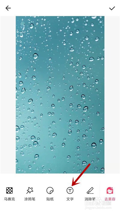 美图秀秀怎么给图片加文字