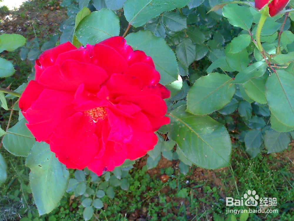 读书的好处---12