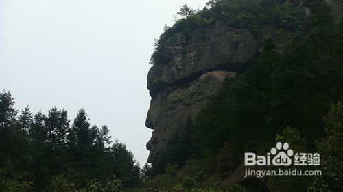 十一安全出行神仙居旅游攻略