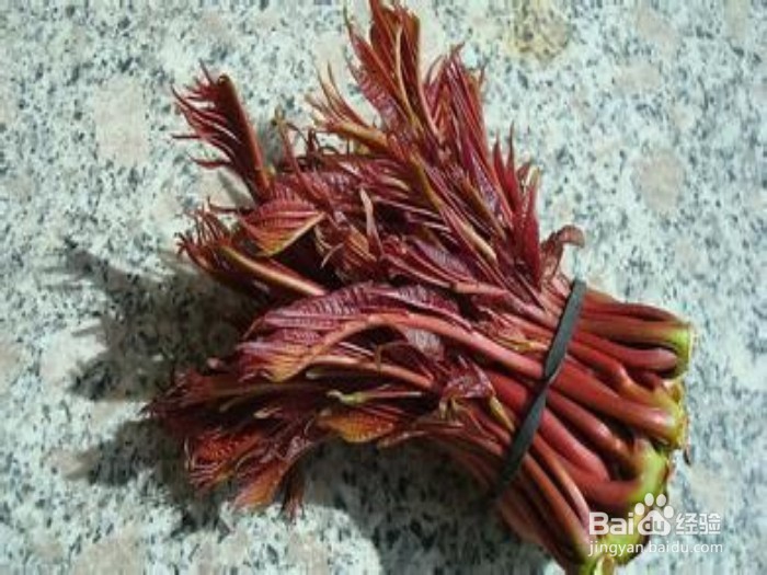 24节气养生----谷雨养生