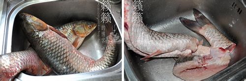 家有垂钓王,煮妇必备的家常烹鱼法-糍粑鱼