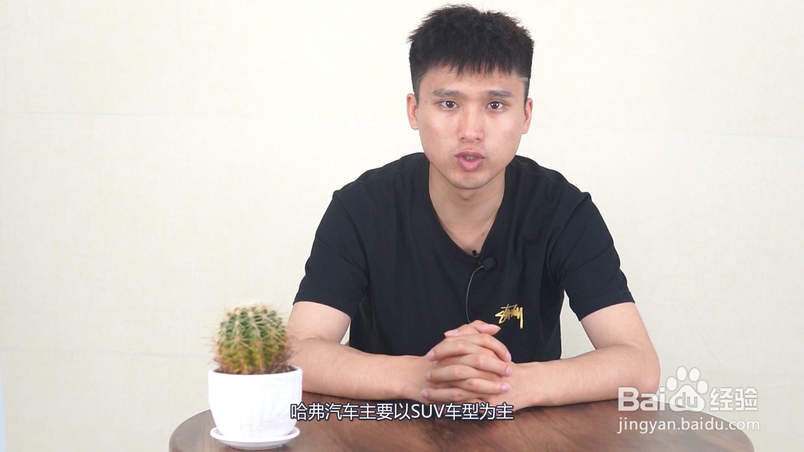 haval什么车的标志