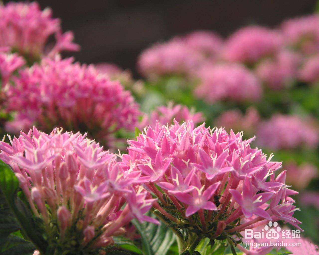 缓解高反最有效的方法