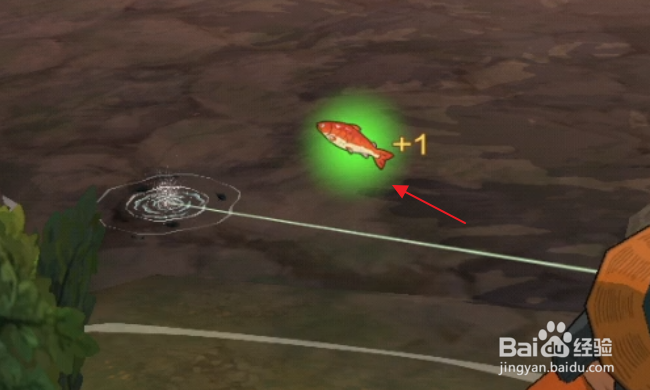 小森生活怎样钓鲤鱼