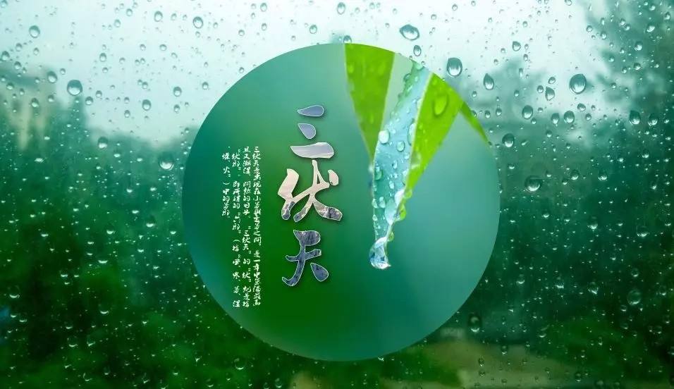 三伏一共有几天初伏几天，中伏几天，末伏几天