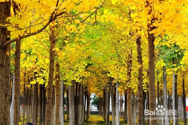 兰州理工大学关于这些你应该知道