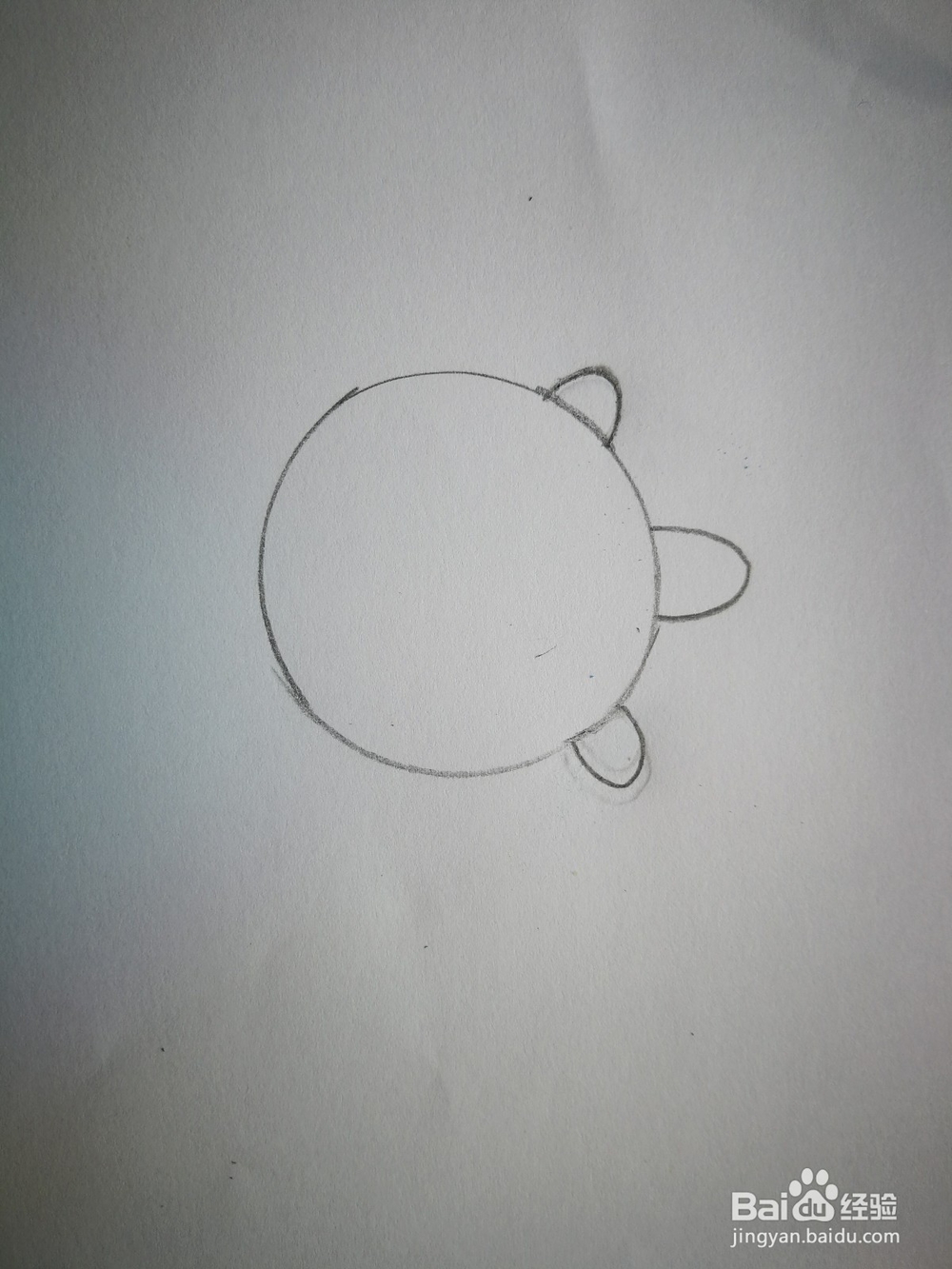 幼儿园作业:给你一个圆形,可以画出什么图画?