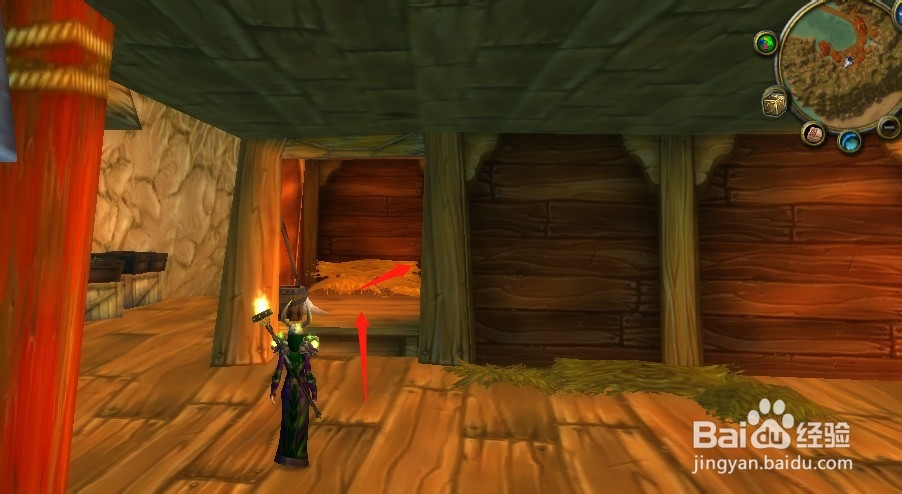 魔兽世界怀旧服荆棘谷的飞行鸟点在哪里?