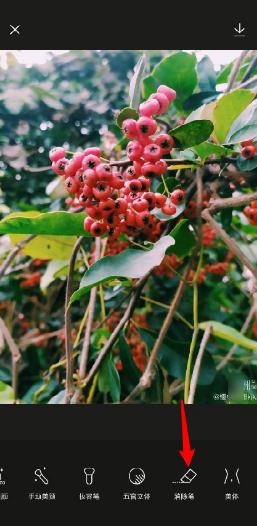 醒图如何去掉水印