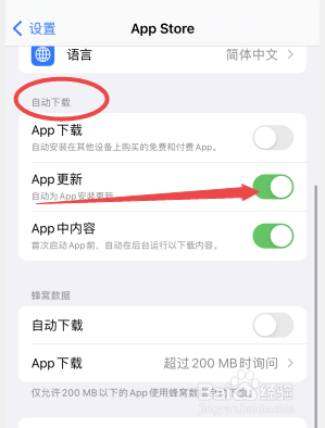 苹果手机怎么关闭软件自动更新