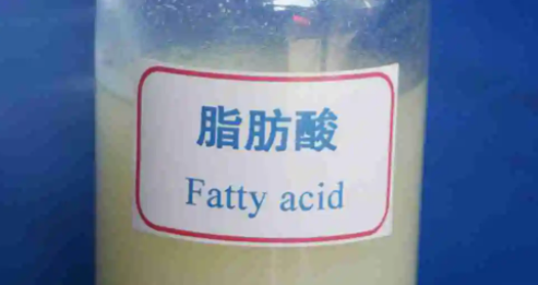 脂肪酸是什么