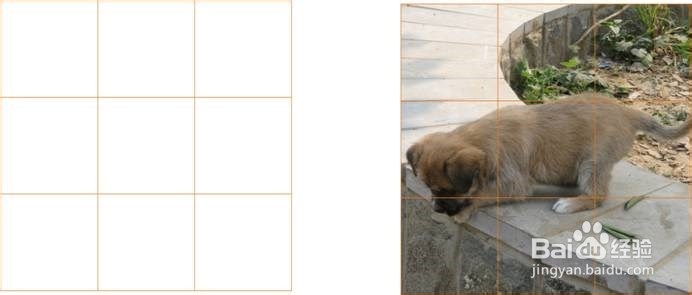 如何用CorelDRAW完成拼图游戏?