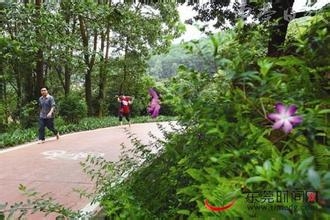 失眠了,如何快速睡眠
