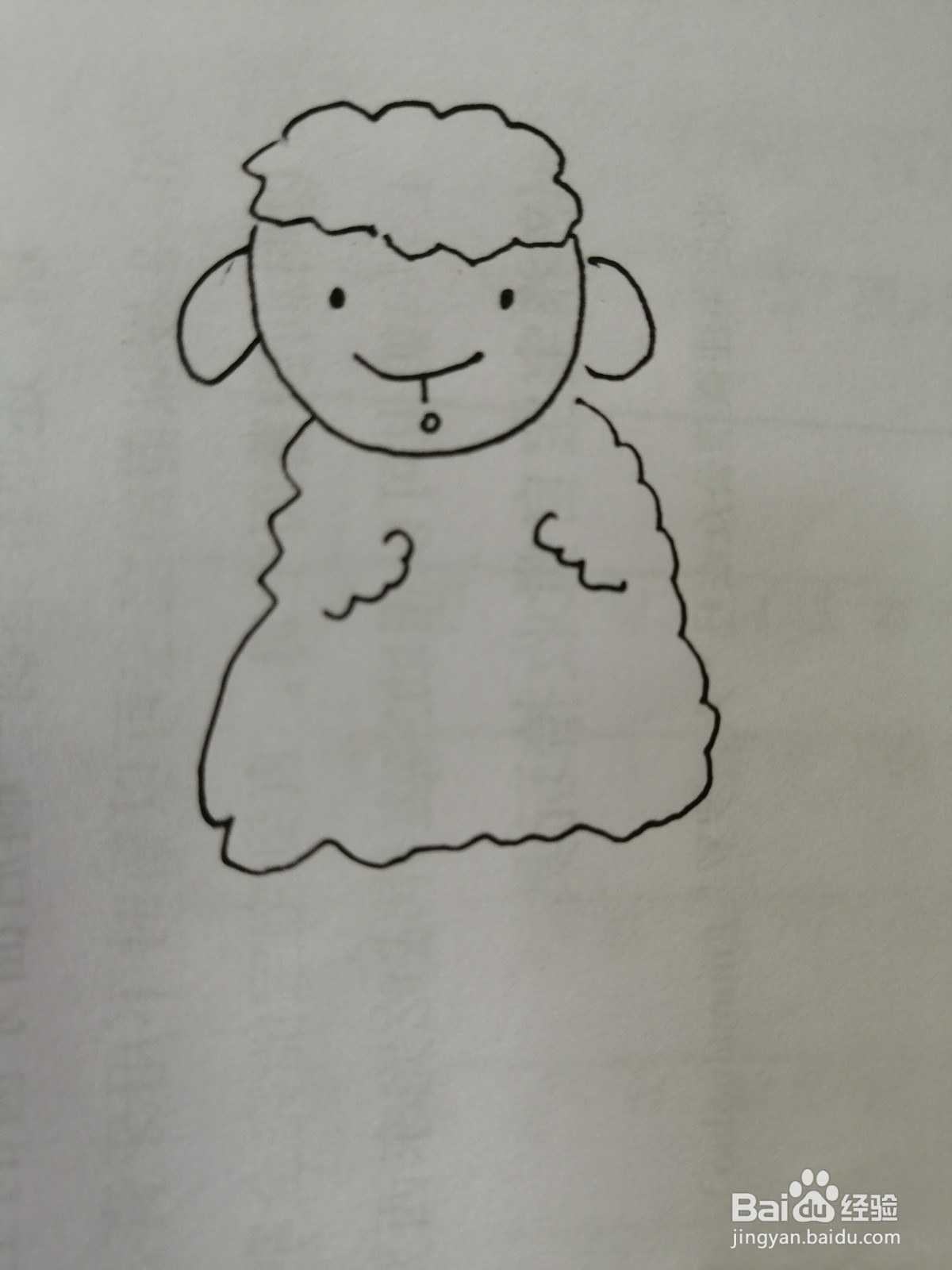 可爱的小绵羊怎么画