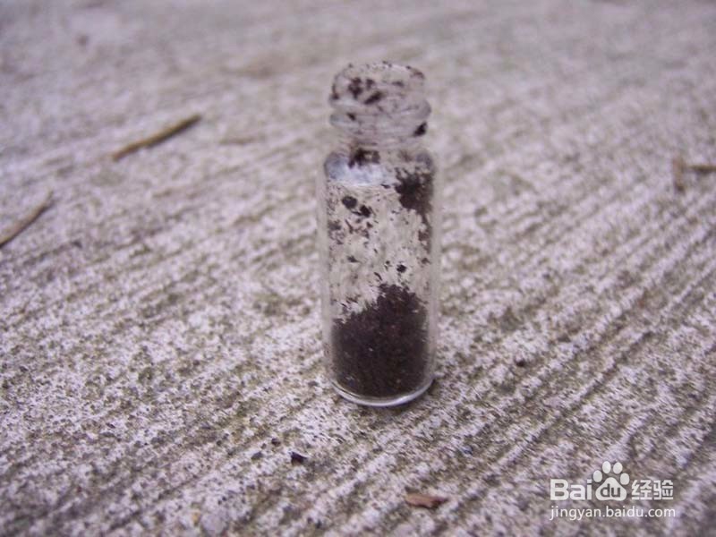 怎样在瓶子里中一颗小草放在办公桌上面做摆件