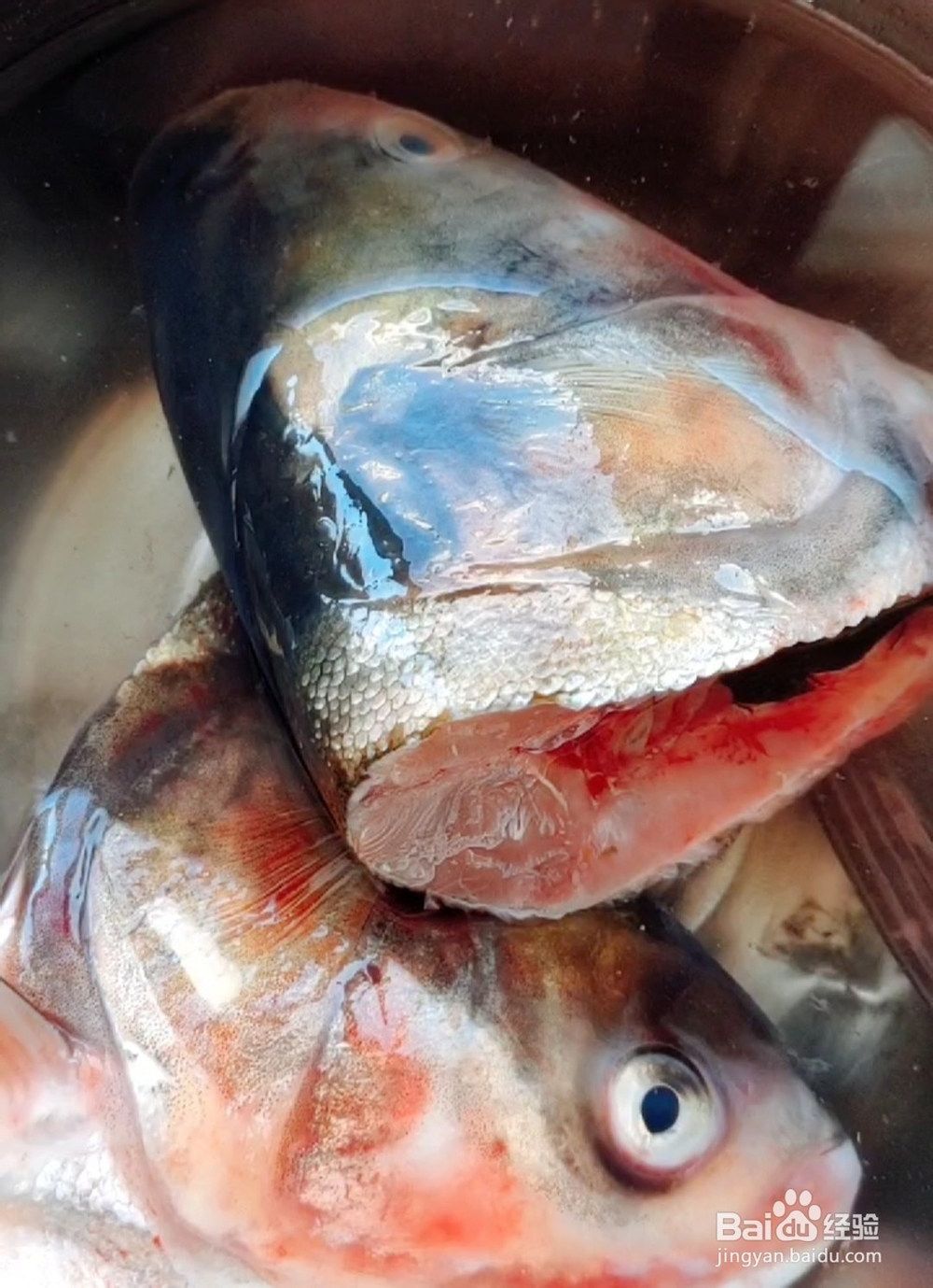 怎么做鱼头泡饼