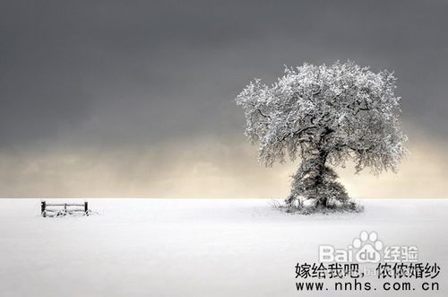【摄影】领略世界风光