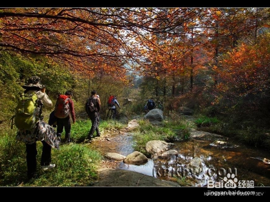 高中学生秋游分组管理策略