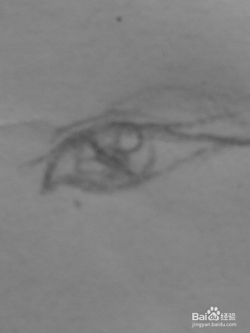 原创动漫人物的眼睛5