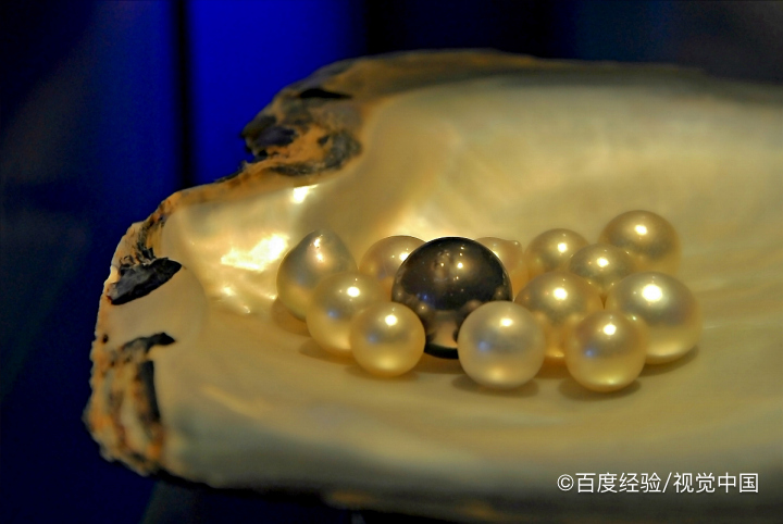 珍珠养殖方法