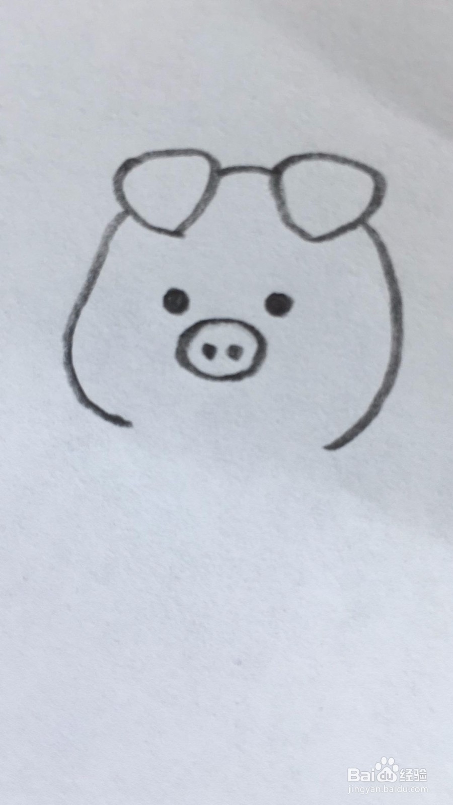 抛飞吻的小猪如何画