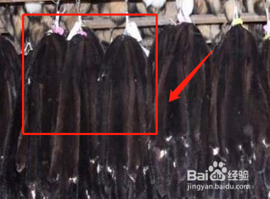 貂皮缝制方法图