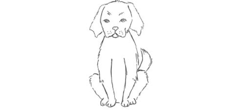 如何画一只坐着的小狗