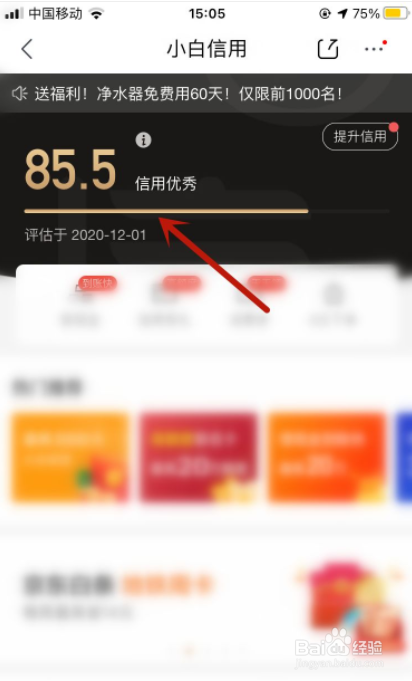 京东如何查看小白信用