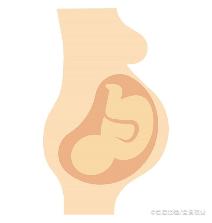 牛磺酸对准妈妈和胎宝宝的作用