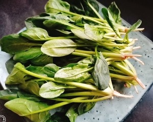凉拌菠菜花生米怎么做