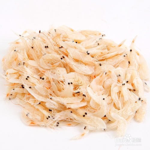 怎么才能让乌龟开食