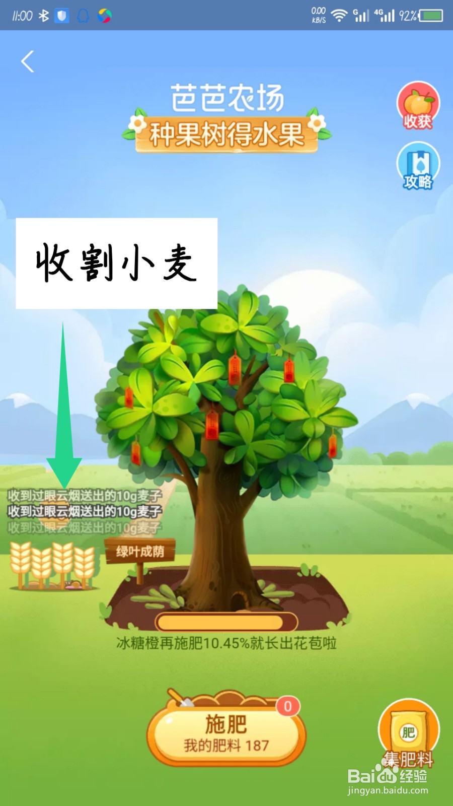 蚂蚁庄园麦田移动到芭芭农场里面怎么收麦子