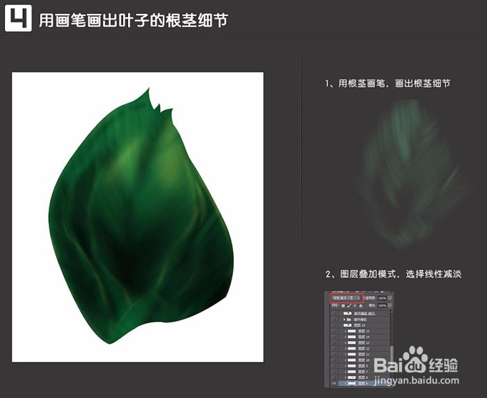 绿色植物肤品主题海报PS制作操作步骤