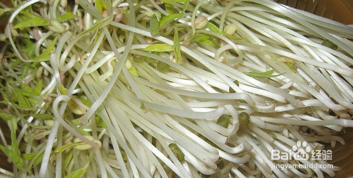 床单上的霉斑怎么去除的小窍门