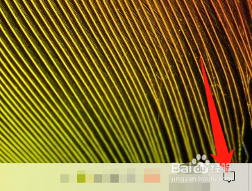 电脑连接投影仪后音响没有声音